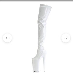 10 inch Pleaser Crotch High Boots